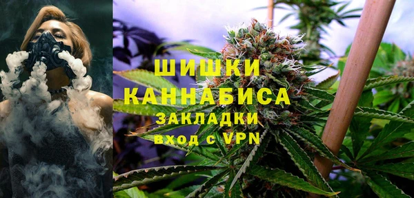 apvp Алзамай