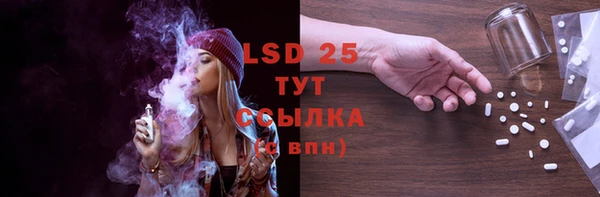 ПСИЛОЦИБИНОВЫЕ ГРИБЫ Алексеевка