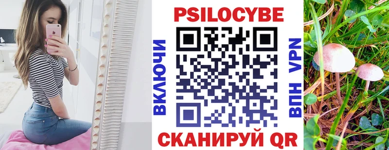 наркошоп  Островной  Галлюциногенные грибы Psilocybine cubensis 